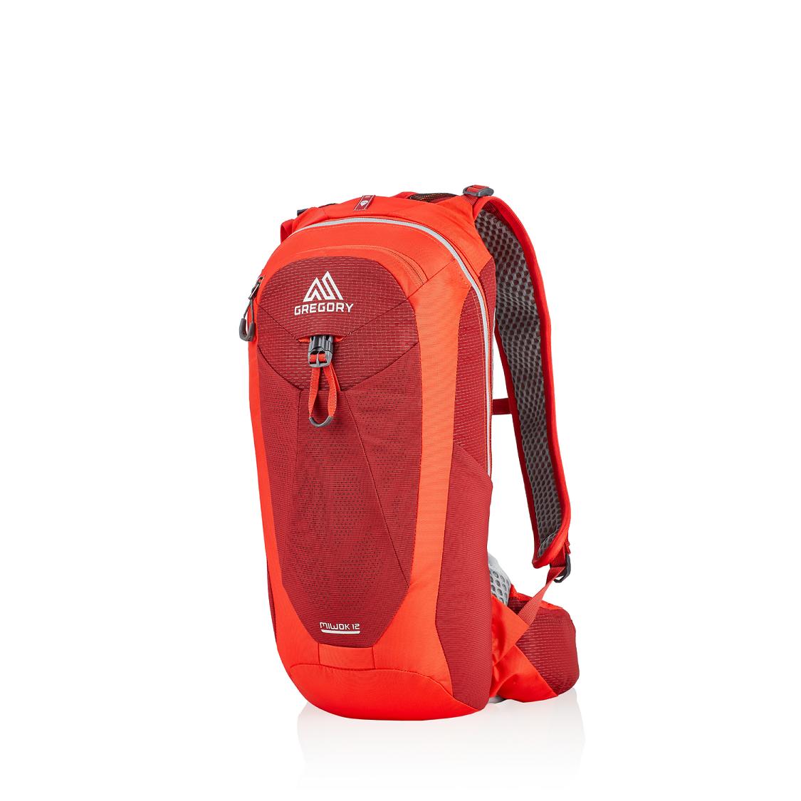 Men Gregory Miwok 12 Hiking Backpack Red Sale Usa LTEB03642